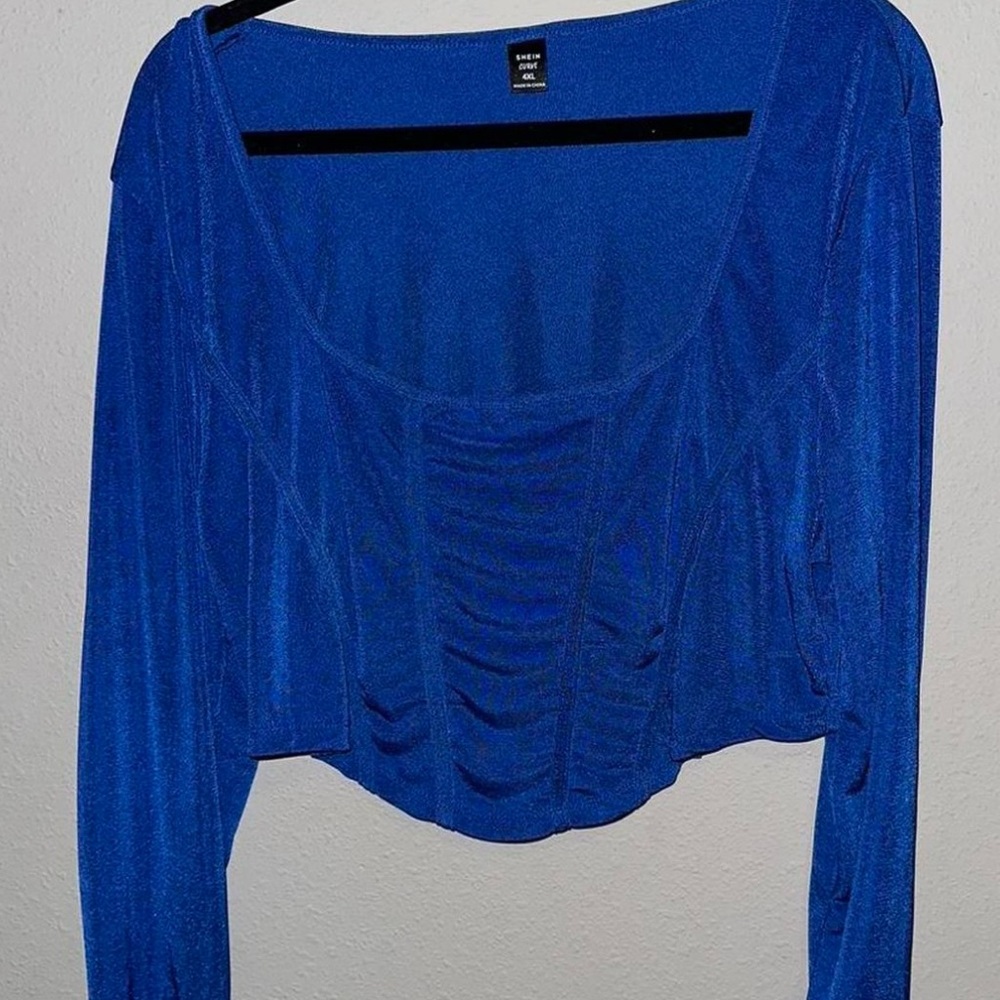 Express Cobalt Blue Long Sleeve Ruched Crop Top